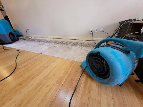 Professional Burst Pipe Water Damage technician working in Rogers, TX